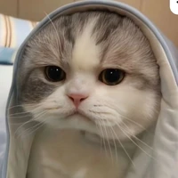 Hệ Thống