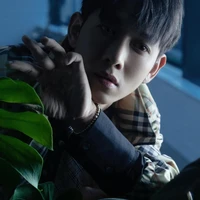 Nguyễn Trường Sinh ( Song Luân )