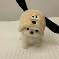 𝑡𝑖𝑐ℎ 𝑐ℎ𝑎𝑢╵ @𝑡𝑖𝑐ℎ𝑜𝑢𝑧; ♋︎