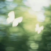 𝐬𝐮𝐩𝐩𝐨𝐫𝐭𝐢𝐧𝐠 𝐜𝐡𝐚𝐫𝐚𝐜𝐭𝐞𝐫