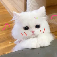 Hệ thống 136