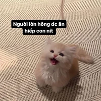 ~Minh~/hcngu_guhcba