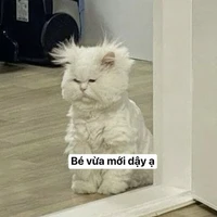 ~Nhiên~/sleepy_moingay