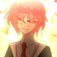 tt hiha