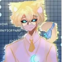 hiha anti capnat