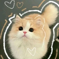 Tác Giả hay xàm xí 