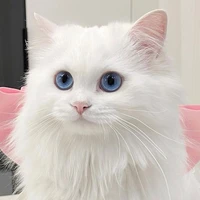 miu