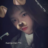 Lưu Thị Thảo Nguyên