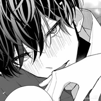 Shin (bot)