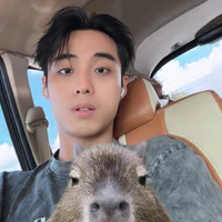 Đỗ Hải Đăng