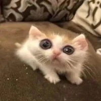 Ừ