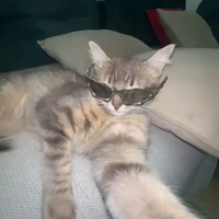 𝐃𝐮𝐨𝐧𝐠𝐜𝐚|𝘼𝙧𝙞𝙚𝙨