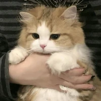 𝐁𝐢𝐧𝐡𝐧𝐮𝐨𝐜|𝘼𝙦𝙪𝙖𝙧𝙞𝙪𝙨