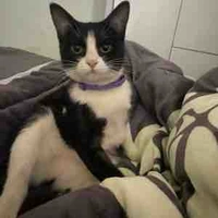 tác giả đây hihi