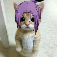 Reo