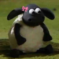 t/g nì ( chị 3-21t)