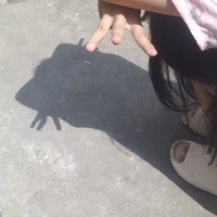 tác giả cuti