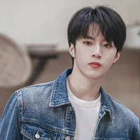 Lưu Diệu Văn 