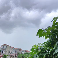 T/g bị bla bla