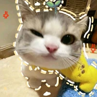 NVP