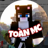 Toàn