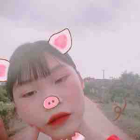 bé heo cute(em timmy)