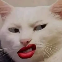 Hệ thống slayyy
