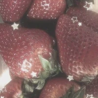 t/g xin lỗi mọi người nhiều ạ!