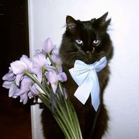 Đoàn Linh Em (Lem)