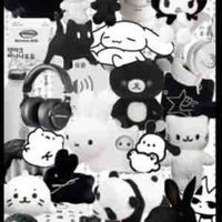 Nikaichi y/n