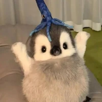 t/g hay ngủ 💤