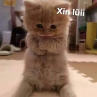 Con thích se nhưng viết he
