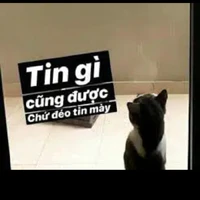 T/g đíu tin ai ngoài ebe hiha