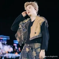 Trần Đăng Dương - Domic