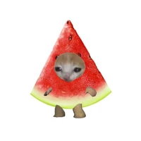 Dưa hấuu_Tgia