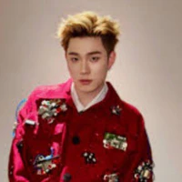 tdd•dương domic