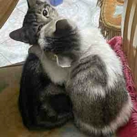 All(trừ ai thì trừ)