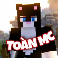 Toàn