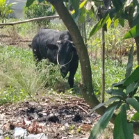 all trừ ai trừ đừng trừ like tui 😭😭😭