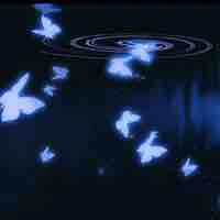 Lily-t/g (hệ thống )