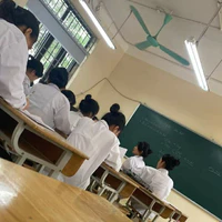 cả lớp 