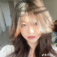 chippy[hệ thống của🐣]