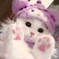 T/g lười:3
