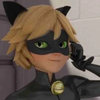 Cat noir