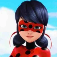 Ladybug