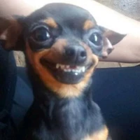 Hồng