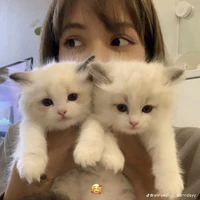 ng quyết định kết của truyện