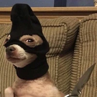 lớp l*n