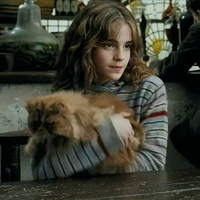 Hermione granger