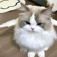 Hệ thống[Meo]